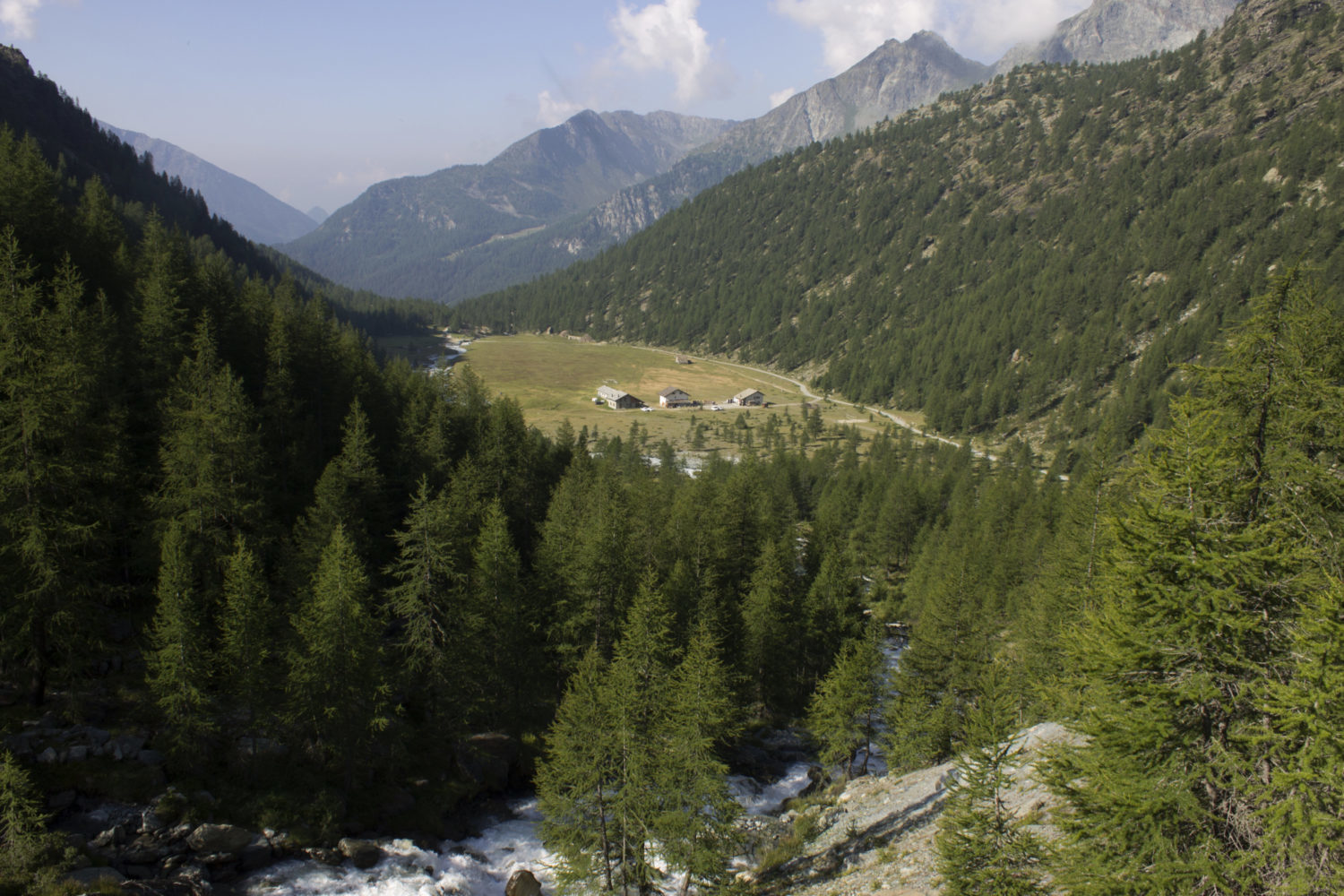 ур. Alpe di Verro с поворота на спуске